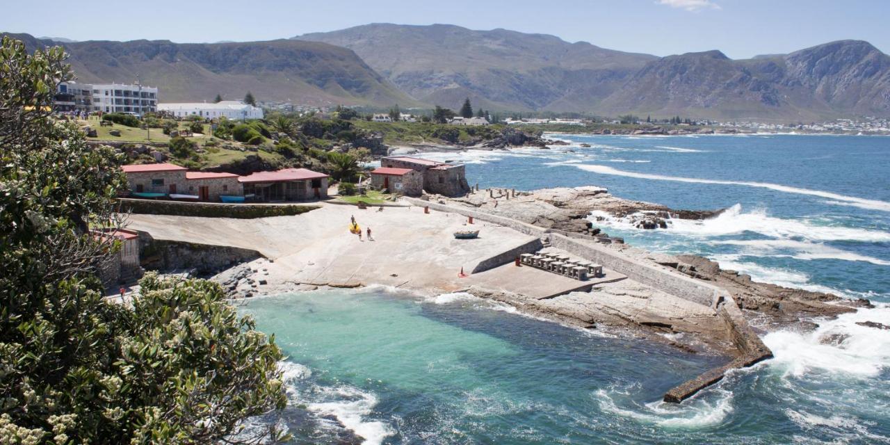 Zzzone Boutique Hostel Hermanus Exterior photo